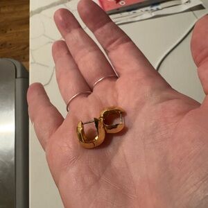 Jenny Bird Gold Hoop Earrings